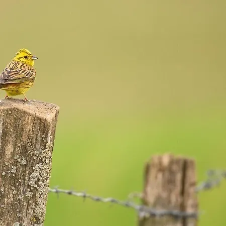 Atlanta Valkenburg aan de Geul