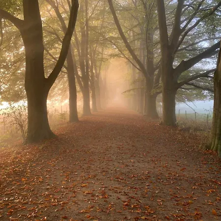 酒店 亚特兰大酒店