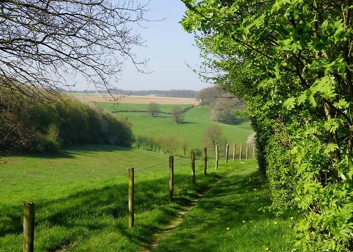 アトランタ ホテル ファルケンブルフ